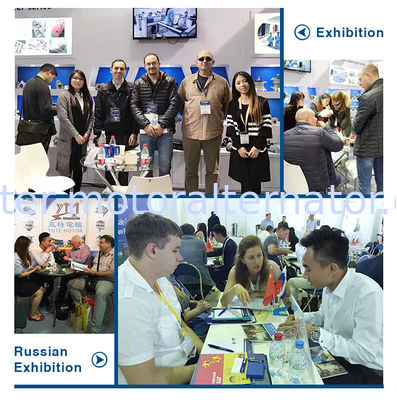 OEM 1197311318 Alternator Regulator with 12 Months Warranty and ISO9001/CE/TS16949 Certification for BOSCH Fitment