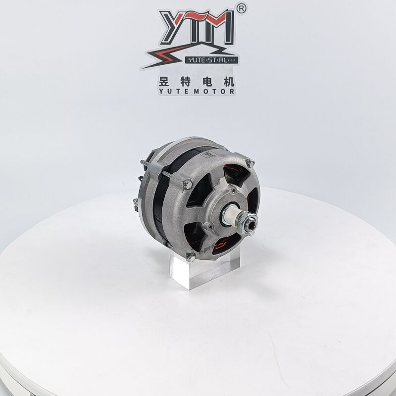 VA493 12V 80A ALTERNATOR 01180661 01182107 pour Deutz FL1011F Remplacement renforcé