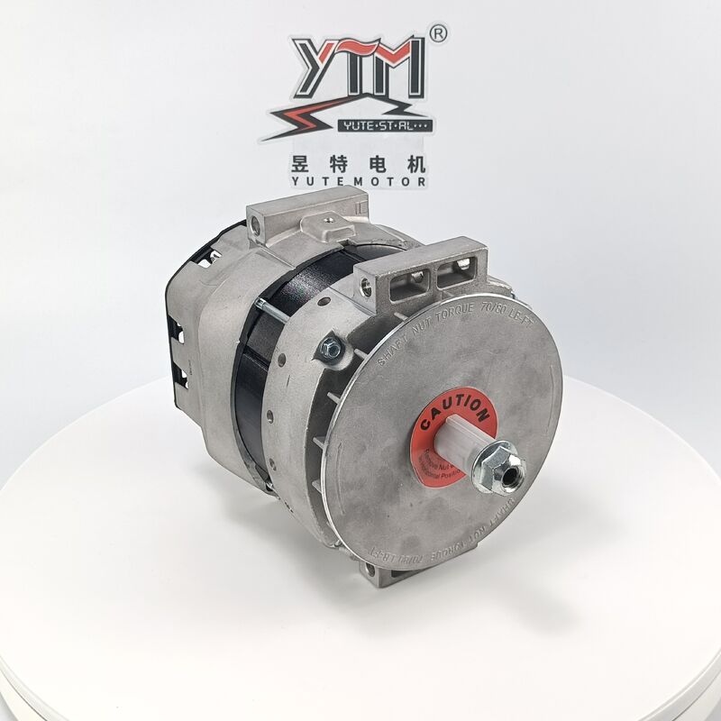 Alternateur YTM 24V 250A DR290 OE 3643862 61006082 8600453 pour 7321N Remplacement pour poids lourds